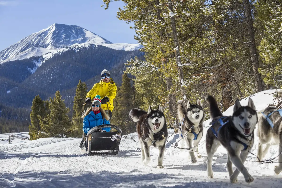 Things To Do Dog sled rides